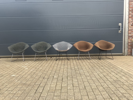 Image 1 of 2 chaises originales Knoll Bertoia Diamond
