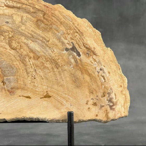 Image 1 of Madera fosilizada de Sooka, soporte hecho a medida (nuevo)