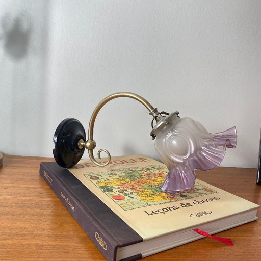 Messing wandlamp met zwanenhals en glazen tulpvormige kap.