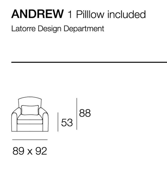 Image 1 of Andrew van Latorre leather armchair