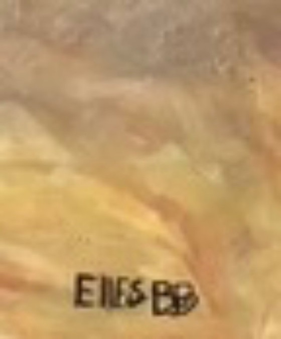 Image 1 of Gideon van EllesBB