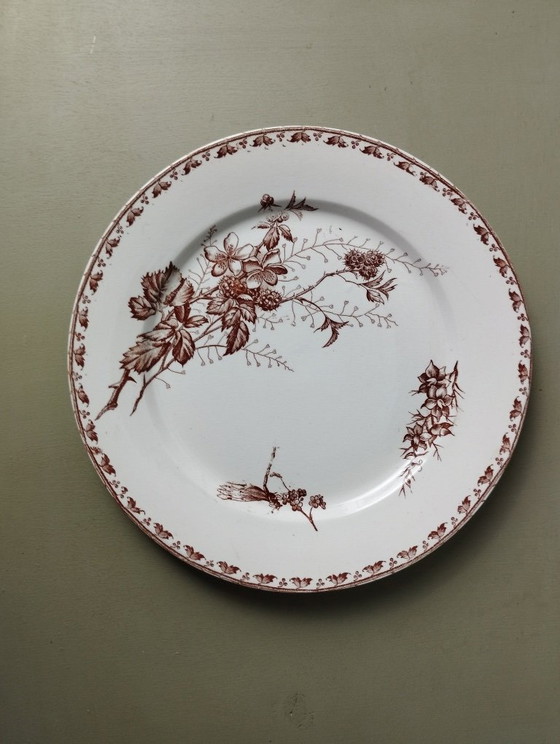 Image 1 of 7 platos llanos de loza Sarreguemines U&C "Carmen"