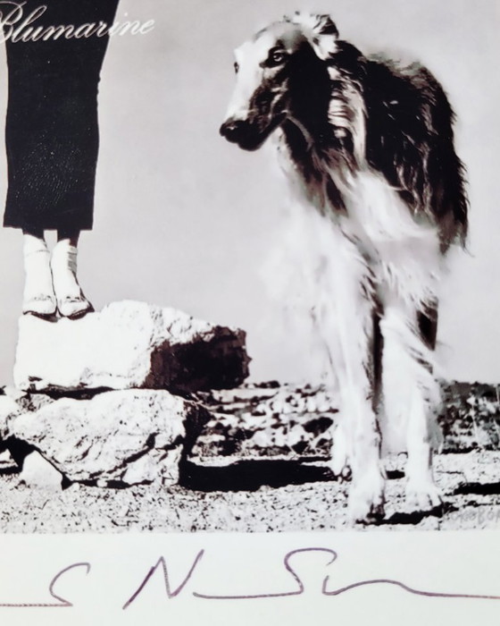 Image 1 of Photographie emblématique d'Helmut Newton | photo signée | Anna Molinari Carré Otis