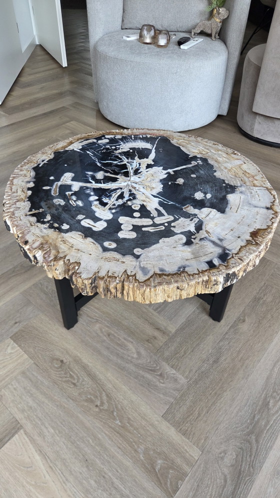 Versteinerter Baumstamm Couchtisch!!! – Couchtische, Metal, Stone (photo 4 of 8)