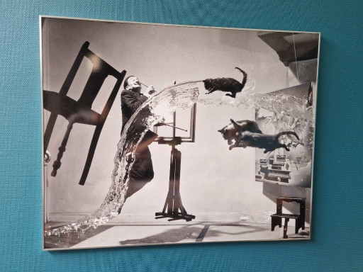"Dalí Atomicus" ingelijst kunstwerk