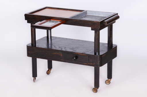 Gerestaureerde kubistische trolley, eikenhout, mahoniehout, herleefd Pools, Tsjechisch, jaren 1910 – serveerwagens, Glass