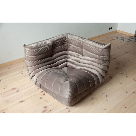 Image 1 of Togo vintage woonkamer set in grijs fluweel van Michel Ducaroy voor Ligne Roset, Frankrijk 1970