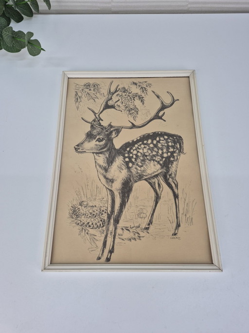 Estampe/dessin vintage Cocky d'un daim/cerf avec des bois.