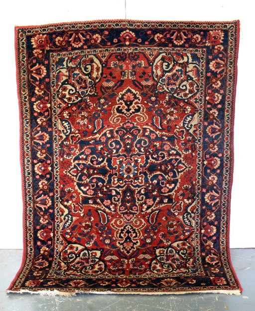 Bellissimo Bachtiar dall'Iran