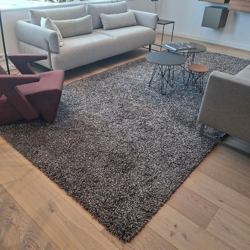 Vloerkleed Kinast Teppich Bison – vloerkleden en tapijten, Wool