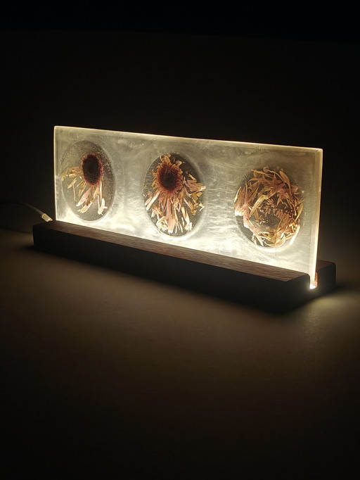 “Fasi di decadimento”
Scultura luminosa con fiori conservati