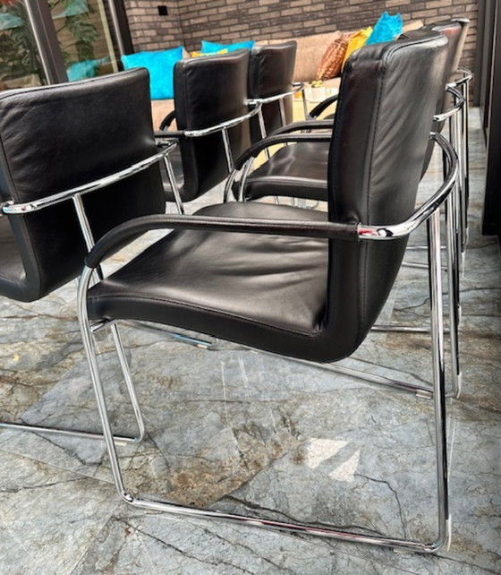 Image 1 of 6 sedie da pranzo in pelle