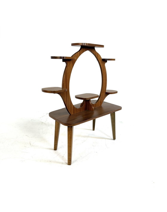 Image 1 of Vintage XL plantentafel ‘60