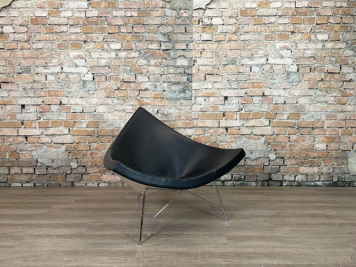Vitra Kokosnuss