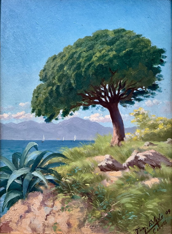 Antico Dipinto a Olio Cannes La Bocca 1909 – Tom Evans – Dipinti e disegni, Legno, Altro (photo 3 of 10)