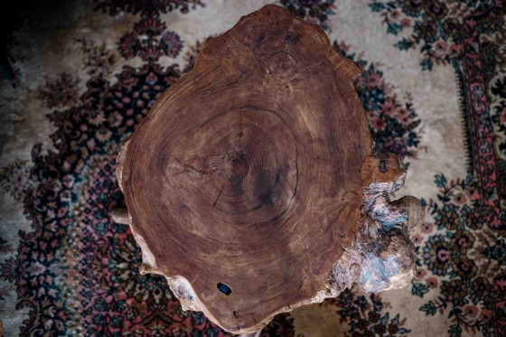 Mesa de centro única hecha de un tronco de árbol macizo. – handgemaakt, Mesas de centro, Wood (photo 6 of 7)