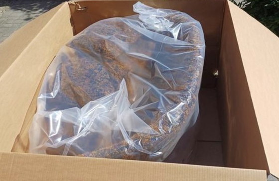 Image 1 of Sofá Moooi Love NUEVO