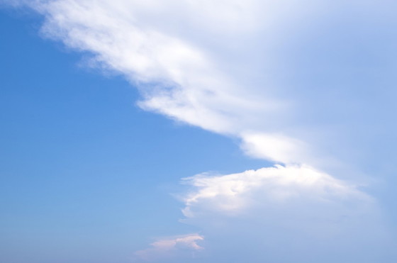 Image 1 of Franck Leclerc Back from fishing in Vietnam