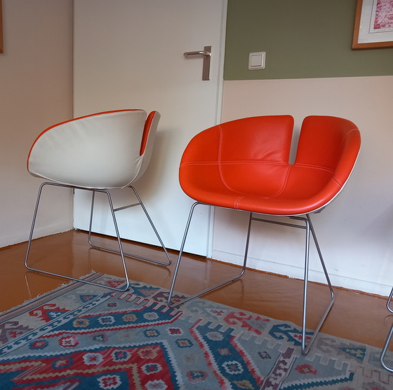 Image 1 of 4x Moroso Fjord Patricia Urquiola