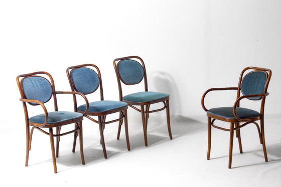Image 1 of Sedie in legno curvato di Thonet