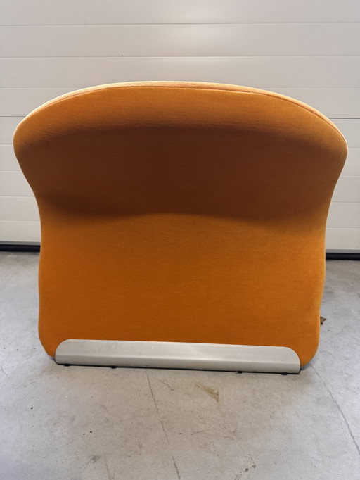 Schitterende Le Chat fauteuil van Pierre Paulin