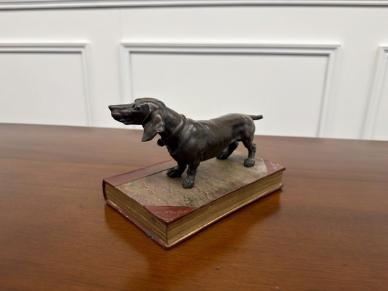 Scultura antica Bloodhound – Sculture, Bronzo, Pelle (photo 6 of 8)