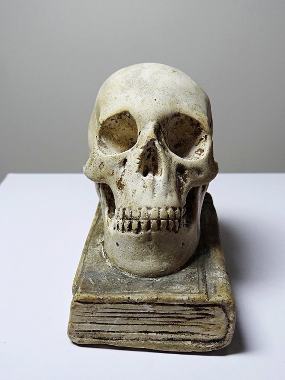 Image 1 of Ancien Memento Mori en plâtre, crâne sur livre, curiosité fin XIXe début XXe