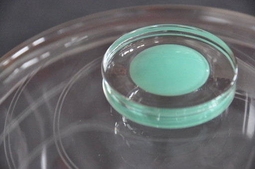 Bowlen- oder Schüsselschale aus Glas