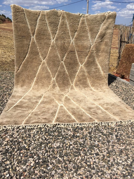 Uitzonderlijk M'rirt vloerkleed 340 x 250 cm