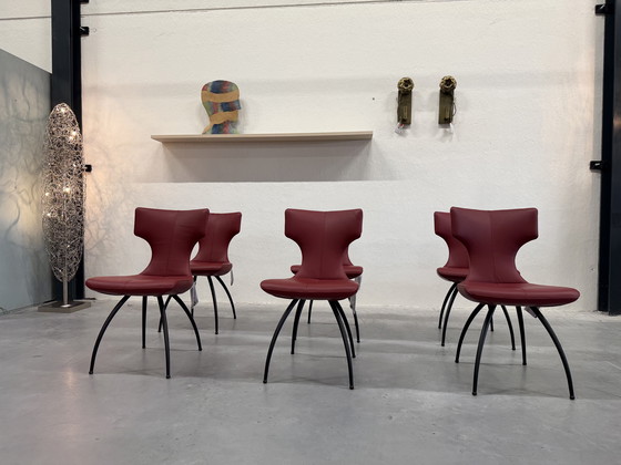 Image 1 of 6 Leolux Callas dining chair Senso Brick