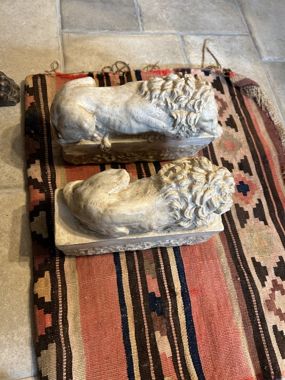 Image 1 of Canovas Löwen