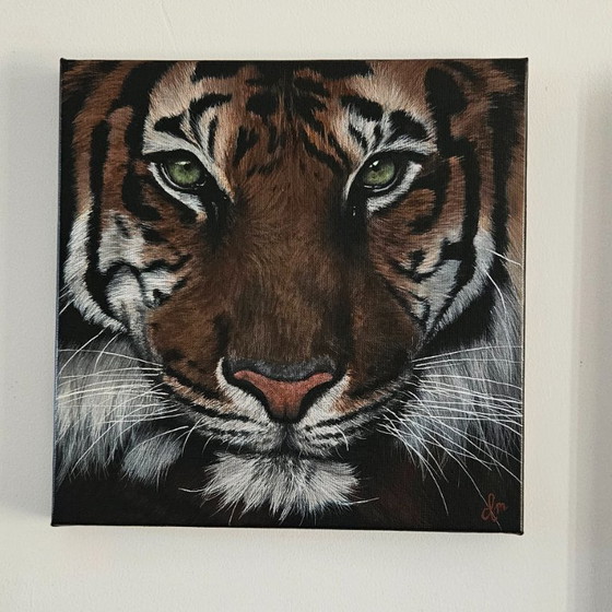 Image 1 of Handmade acrylic painting tiger "eye of the tiger"