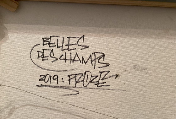 Image 1 of Il signor Proze (1972) – Belles Deschamps