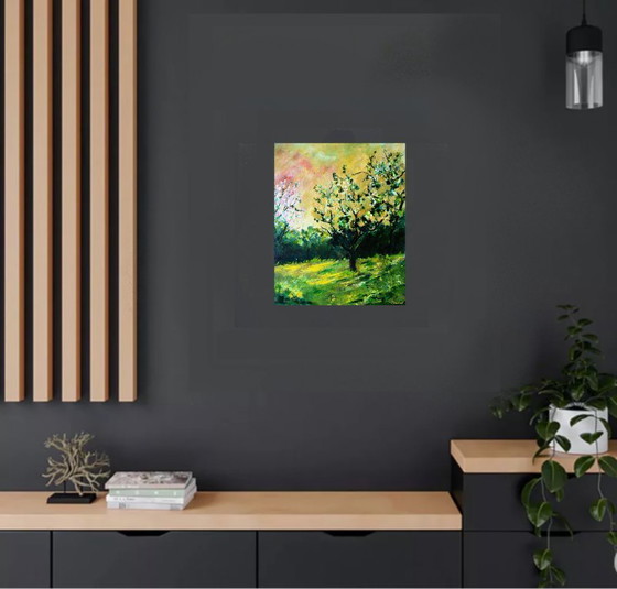 Image 1 of Orchard in spring