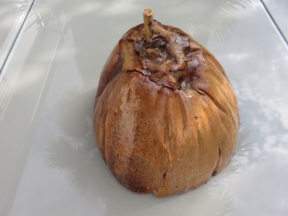 Image 1 of Secchiello per ghiaccio in cocco naturalizzato, 1970