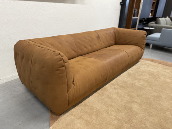 Image 1 of Label Van Den Berg Berry Bank 3 Zits Waterbuffel leer