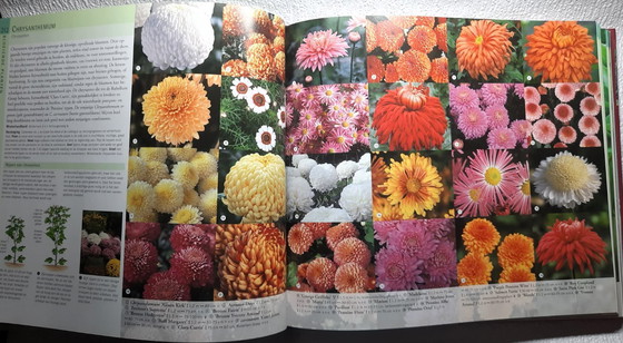 Image 1 of (W039) Le grand livre des plantes de jardin d'Ian Spence