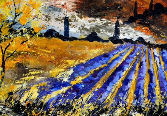 Image 1 of Lavender in Provence