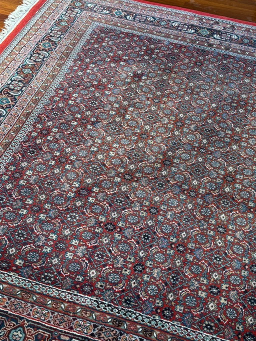 Noué à la main - Tapis persan Bidjar - 251 x 240 cm