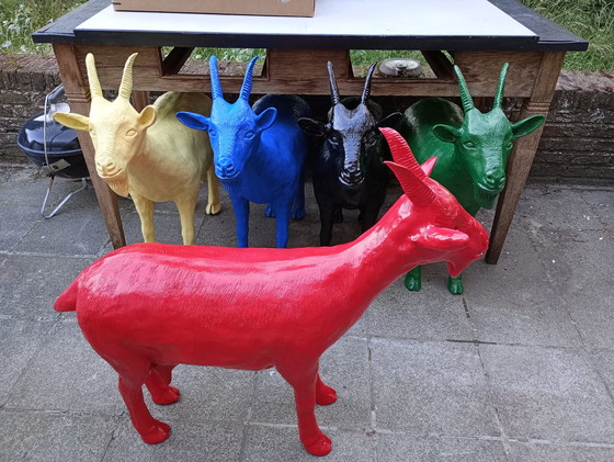 Image 1 of Cloned Red goat sweetlove William 