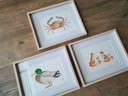 Set 3 Aquarelle Krabbe, Ente und Füchse
