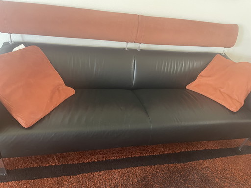 2 magnifiques canapés Leolux avec tapis assorti