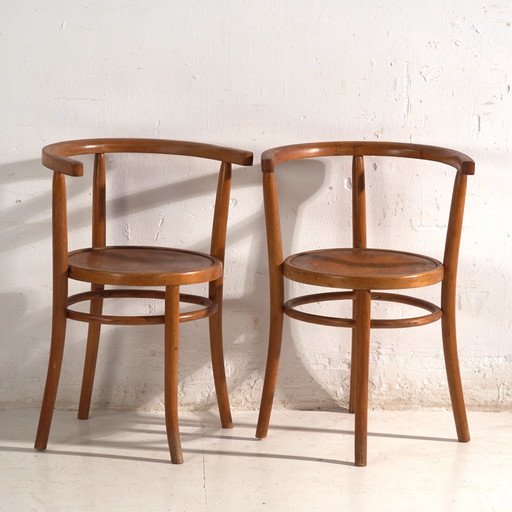 Antieke stoelen in Thonet-stijl buighout – Hongarije, circa 1960 #5