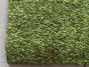 NEW Luxury rug Kasthall 300 x 250 cm green tones