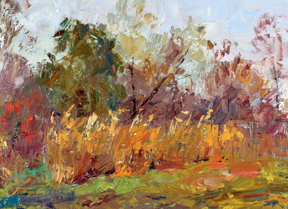Original Oil Painting Nature Landscape Meadow Autumn Sedge, Paintings & Drawings, Canvas, Orange (photo 4 of 8)