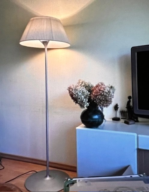 Flos Vloerlamp Romeo Philippe Starck