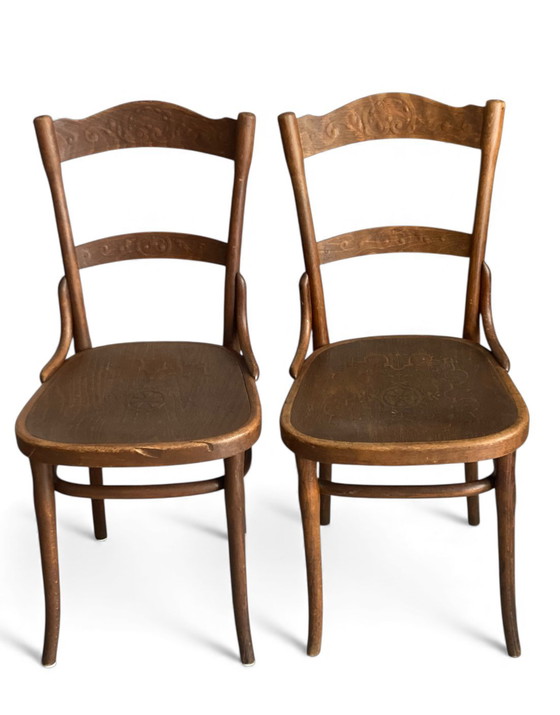 Image 1 of Zeldzame set antieke Thonet-Mundus stoelen, circa 1920 – Weense Secession elegantie in origineel gebogen hout.