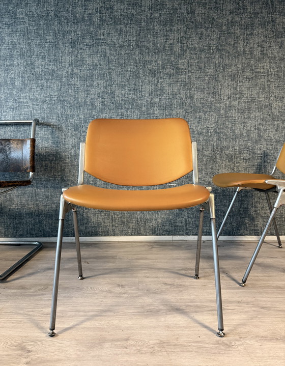 Image 1 of 2 sillas Dsc106 de Giancarlo Piretti para Castelli, década de 1960