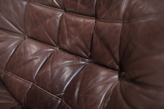 Image 1 of Atemberaubender, patinierter Kashima Lounge Chair (1982) von Michel Ducaroy - Ligne Roset