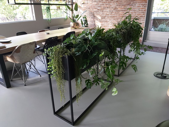 Image 1 of 2 separadores de ambientes de metal visto negro con bolsas impermeables para plantas.